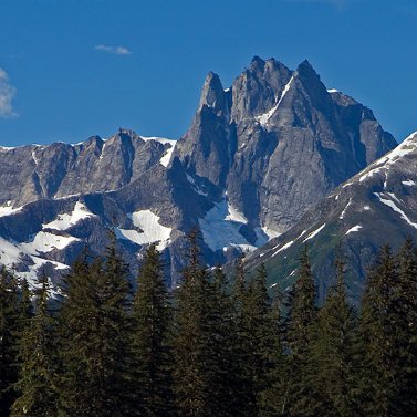 Alaska Charters & Adventures in PO Box 1996, Wrangell